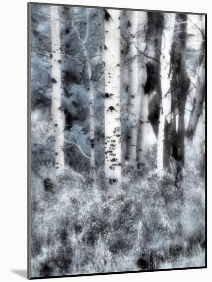 USA, Utah, Aspen Grove in infrared of the Logan Pass area-Terry Eggers-Mounted Photographic Print