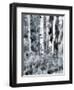 USA, Utah, Aspen Grove in infrared of the Logan Pass area-Terry Eggers-Framed Photographic Print