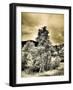 USA, Utah, Aspen Grove in infrared of the Logan Pass area-Terry Eggers-Framed Photographic Print