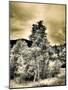 USA, Utah, Aspen Grove in infrared of the Logan Pass area-Terry Eggers-Mounted Photographic Print