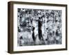 USA, Utah, Aspen Grove in infrared of the Logan Pass area-Terry Eggers-Framed Photographic Print