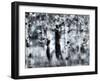 USA, Utah, Aspen Grove in infrared of the Logan Pass area-Terry Eggers-Framed Photographic Print