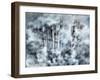 USA, Utah, Aspen Grove in infrared of the Logan Pass area-Terry Eggers-Framed Photographic Print