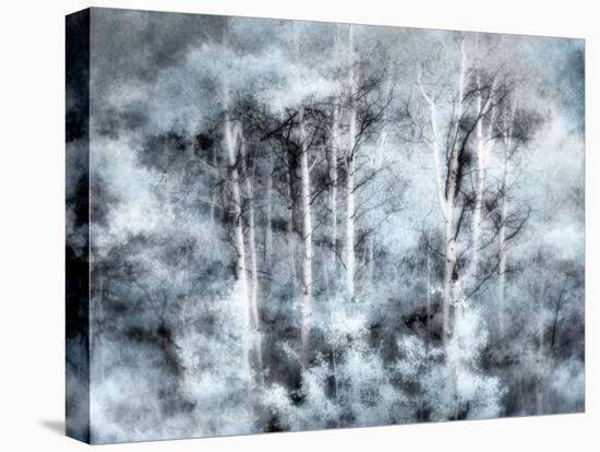 USA, Utah, Aspen Grove in infrared of the Logan Pass area-Terry Eggers-Stretched Canvas