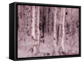 USA, Utah, Aspen Grove in infrared of the Logan Pass area-Terry Eggers-Framed Stretched Canvas