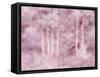 USA, Utah, Aspen Grove in infrared of the Logan Pass area-Terry Eggers-Framed Stretched Canvas