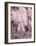 USA, Utah, Aspen Grove in infrared of the Logan Pass area-Terry Eggers-Framed Photographic Print