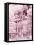 USA, Utah, Aspen Grove in infrared of the Logan Pass area-Terry Eggers-Framed Stretched Canvas