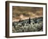 USA, Utah, Aspen Grove in infrared of the Logan Pass area-Terry Eggers-Framed Photographic Print