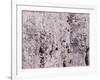 USA, Utah, Aspen Grove in infrared of the Logan Pass area-Terry Eggers-Framed Photographic Print