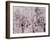 USA, Utah, Aspen Grove in infrared of the Logan Pass area-Terry Eggers-Framed Photographic Print