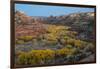 USA, Utah. Autumn cottonwoods and sandstone formations in canyon, Grand Staircase-Escalante NM-Judith Zimmerman-Framed Photographic Print