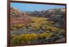 USA, Utah. Autumn cottonwoods and sandstone formations in canyon, Grand Staircase-Escalante NM-Judith Zimmerman-Framed Photographic Print