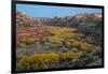 USA, Utah. Autumn cottonwoods and sandstone formations in canyon, Grand Staircase-Escalante NM-Judith Zimmerman-Framed Photographic Print