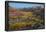 USA, Utah. Autumn cottonwoods and sandstone formations in canyon, Grand Staircase-Escalante NM-Judith Zimmerman-Framed Photographic Print