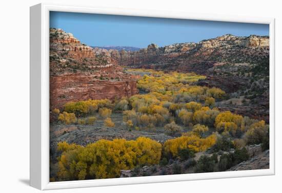 USA, Utah. Autumn cottonwoods and sandstone formations in canyon, Grand Staircase-Escalante NM-Judith Zimmerman-Framed Photographic Print