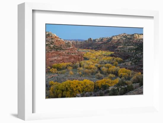 USA, Utah. Autumn cottonwoods and sandstone formations in canyon, Grand Staircase-Escalante NM-Judith Zimmerman-Framed Photographic Print