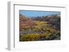 USA, Utah. Autumn cottonwoods and sandstone formations in canyon, Grand Staircase-Escalante NM-Judith Zimmerman-Framed Photographic Print