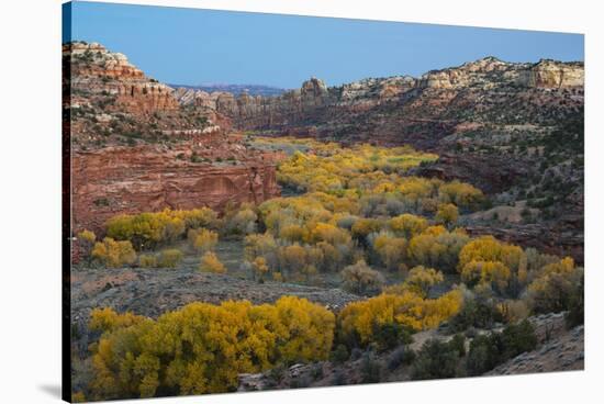USA, Utah. Autumn cottonwoods and sandstone formations in canyon, Grand Staircase-Escalante NM-Judith Zimmerman-Stretched Canvas