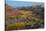 USA, Utah. Autumn cottonwoods and sandstone formations in canyon, Grand Staircase-Escalante NM-Judith Zimmerman-Stretched Canvas