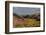 USA, Utah. Autumn cottonwoods and sandstone formations in canyon, Grand Staircase-Escalante NM-Judith Zimmerman-Framed Photographic Print