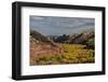 USA, Utah. Autumn cottonwoods and sandstone formations in canyon, Grand Staircase-Escalante NM-Judith Zimmerman-Framed Photographic Print