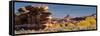 USA, Utah. Autumn panoramic, Needles District of Canyonlands National Park.-Judith Zimmerman-Framed Stretched Canvas