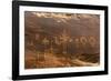 USA, Utah, Bears Ears National Monument. Wolfman Panel of petroglyphs in Butler Wash.-Jaynes Gallery-Framed Photographic Print