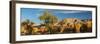 USA, Utah. Bentonite hills and autumn cottonwoods near Capitol Reef National Park.-Judith Zimmerman-Framed Photographic Print