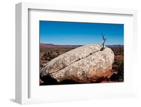 USA, Utah, Bluff. Creosote bush growing from boulder-Bernard Friel-Framed Photographic Print