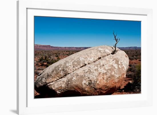 USA, Utah, Bluff. Creosote bush growing from boulder-Bernard Friel-Framed Photographic Print