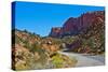 USA, Utah. Boulder, Burr Trail Road views in Long Canyon-Bernard Friel-Stretched Canvas
