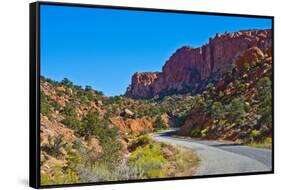 USA, Utah. Boulder, Burr Trail Road views in Long Canyon-Bernard Friel-Framed Stretched Canvas