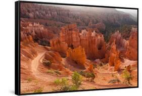 USA, Utah, Bryce Canyon, Amphitheater, Sunrise-Catharina Lux-Framed Stretched Canvas