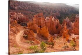 USA, Utah, Bryce Canyon, Amphitheater, Sunrise-Catharina Lux-Stretched Canvas