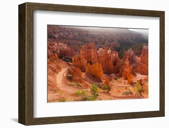 USA, Utah, Bryce Canyon, Amphitheater, Sunrise-Catharina Lux-Framed Photographic Print