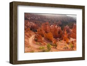 USA, Utah, Bryce Canyon, Amphitheater, Sunrise-Catharina Lux-Framed Photographic Print