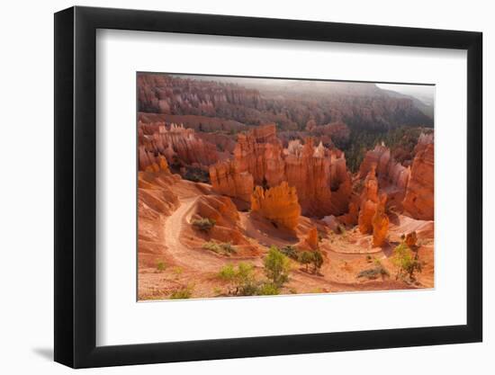 USA, Utah, Bryce Canyon, Amphitheater, Sunrise-Catharina Lux-Framed Photographic Print