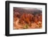 USA, Utah, Bryce Canyon, Amphitheater, Sunrise-Catharina Lux-Framed Photographic Print