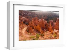 USA, Utah, Bryce Canyon, Amphitheater, Sunrise-Catharina Lux-Framed Photographic Print