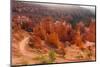 USA, Utah, Bryce Canyon, Amphitheater, Sunrise-Catharina Lux-Mounted Photographic Print