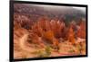 USA, Utah, Bryce Canyon, Amphitheater, Sunrise-Catharina Lux-Framed Photographic Print