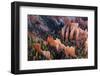 USA, Utah, Bryce Canyon, Amphitheatre-Catharina Lux-Framed Photographic Print