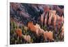 USA, Utah, Bryce Canyon, Amphitheatre-Catharina Lux-Framed Photographic Print