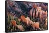 USA, Utah, Bryce Canyon, Amphitheatre-Catharina Lux-Framed Stretched Canvas
