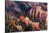 USA, Utah, Bryce Canyon, Amphitheatre-Catharina Lux-Stretched Canvas