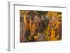 USA, Utah, Bryce Canyon National Park. Canyon overview.-Jaynes Gallery-Framed Photographic Print