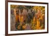 USA, Utah, Bryce Canyon National Park. Canyon overview.-Jaynes Gallery-Framed Premium Photographic Print