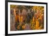 USA, Utah, Bryce Canyon National Park. Canyon overview.-Jaynes Gallery-Framed Premium Photographic Print