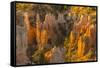 USA, Utah, Bryce Canyon National Park. Canyon overview.-Jaynes Gallery-Framed Stretched Canvas